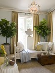 3. fiddle leaf fig tree unknown